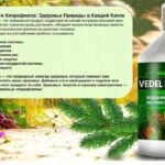 Жидкий хлорофилл из экстракта сосновой хвои 500ml-  Vitateka