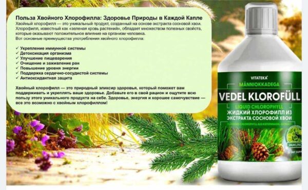 Жидкий хлорофилл из экстракта сосновой хвои 500ml-  Vitateka